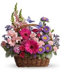 fiori dom35