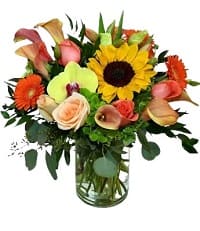 fiori