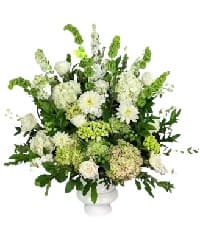 fiori dom49