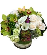 fiori dom52