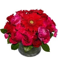 fiori
