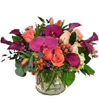 fiori dom56