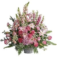 fiori