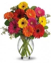 fiori