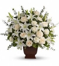 fiori