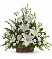 fiori