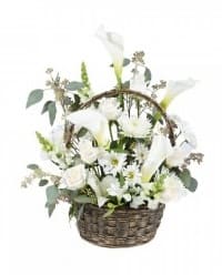fiori