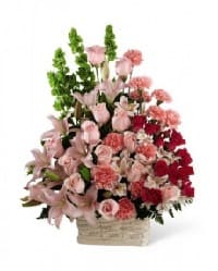 fiori