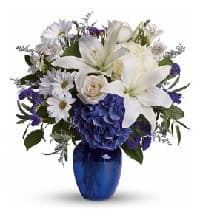 fiori