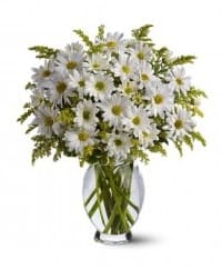 fiori
