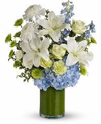 fiori