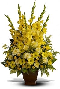 fiori mer27