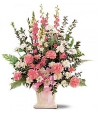 fiori mer28