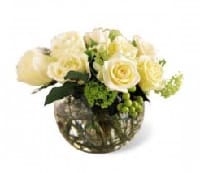 fiori mer29