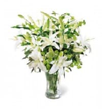 fiori mer30