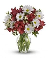 fiori