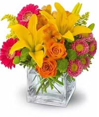fiori mer41