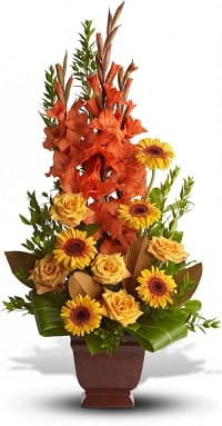 fiori