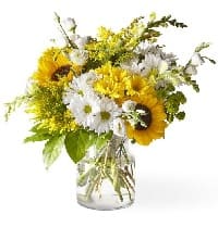 fiori