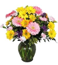 fiori