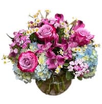fiori