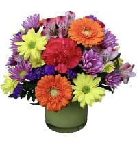 fiori