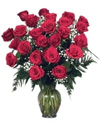 fiori