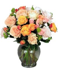 fiori