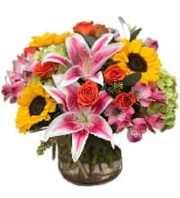 fiori