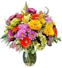 fiori