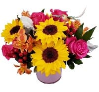 fiori