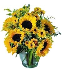 fiori