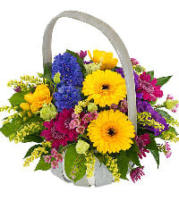 fiori