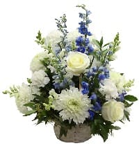 fiori
