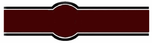 logo euroservice
